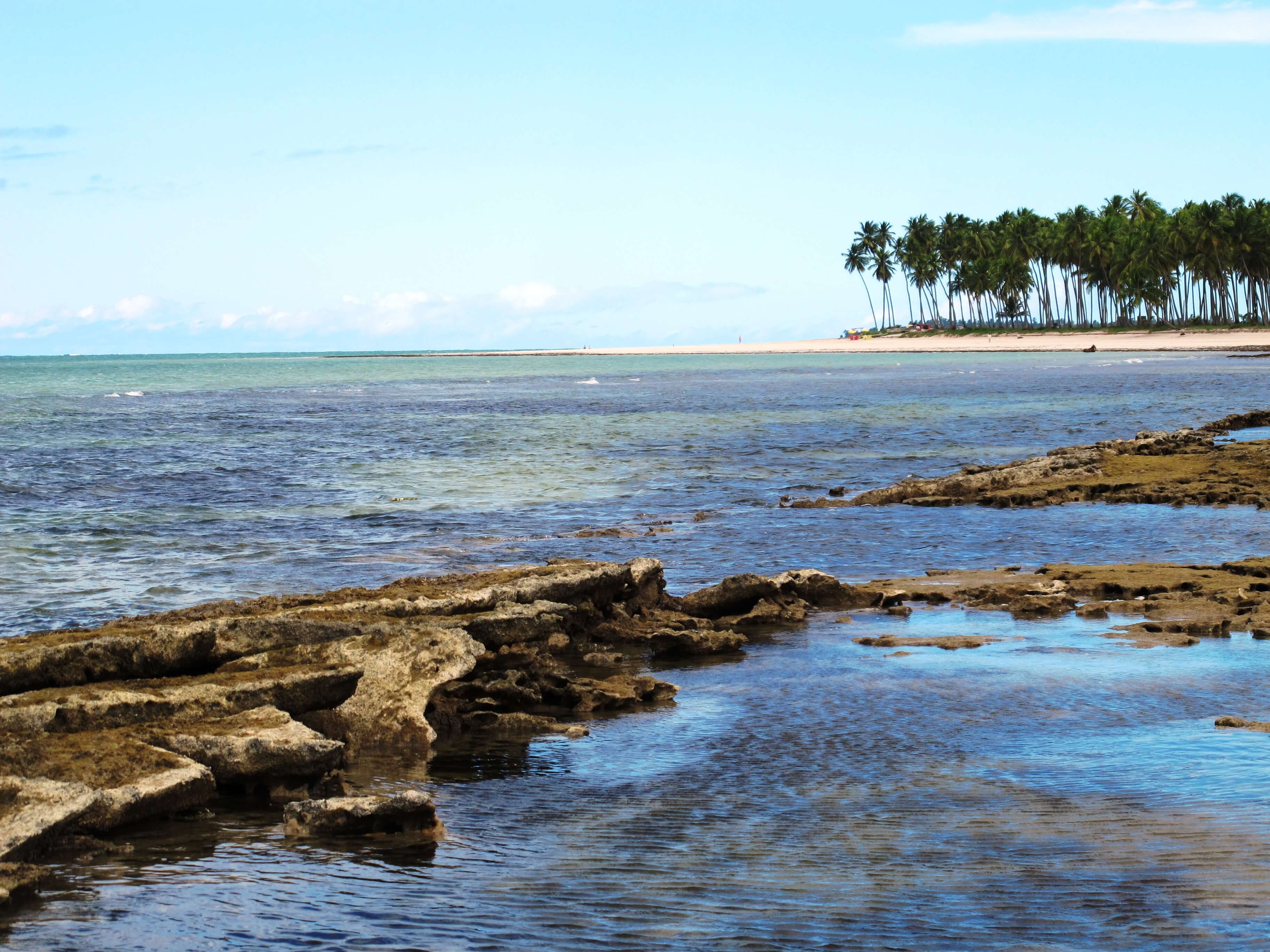 Praia dos Carneiros: como chegar e o que fazer neste paraíso de Pernambuco