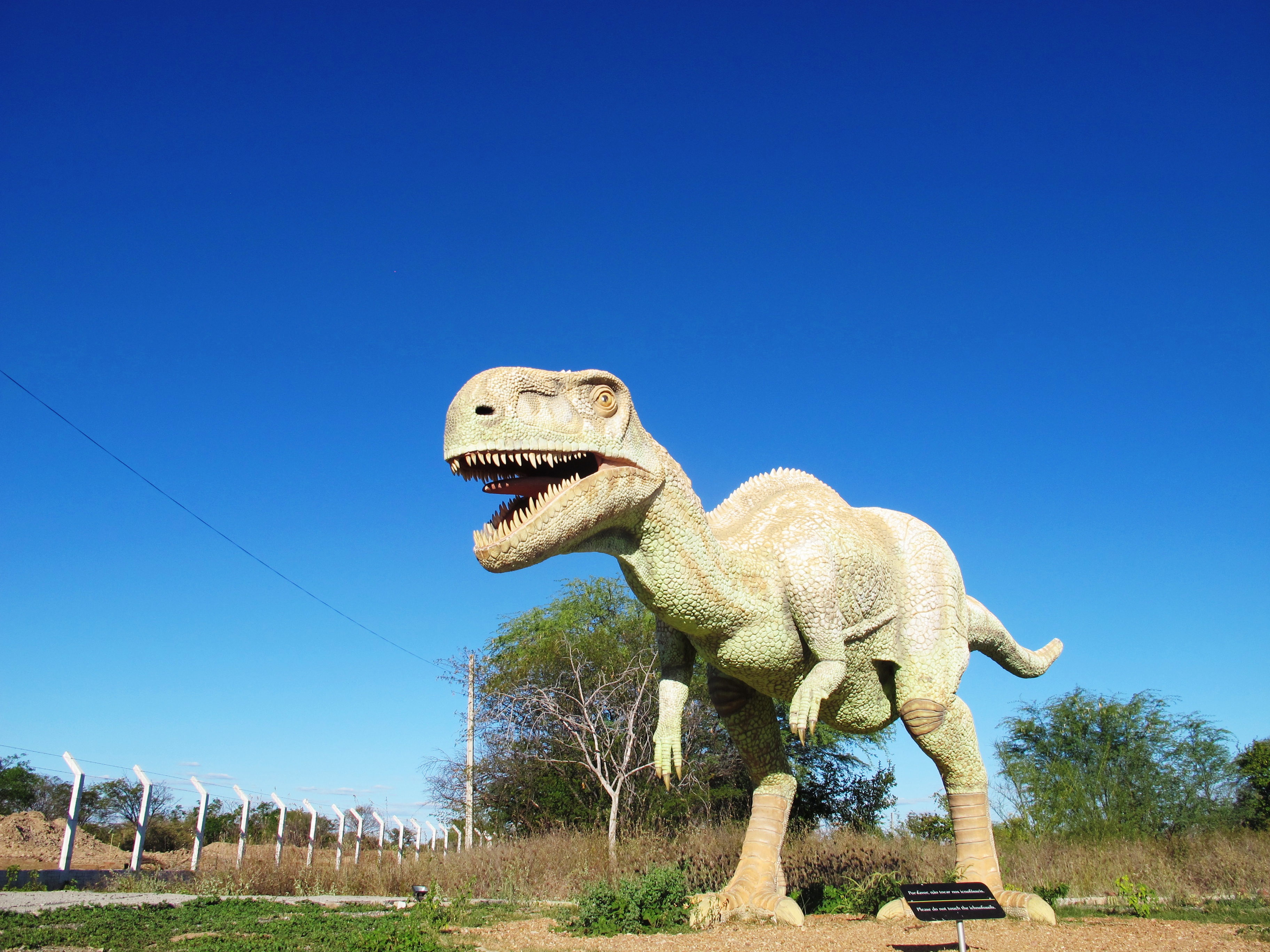 Vale dos Dinossauros (PB): como chegar e o que encontrar no parque que guarda pegadas dos gigantes!