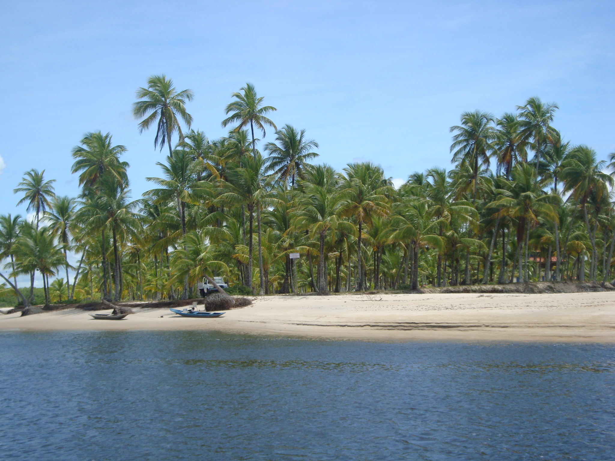 Como chegar a Boipeba: destino paradisíaco da Bahia!