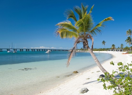 Visit Florida: percorra virtualmente mais de 1,3 mil km de praias!