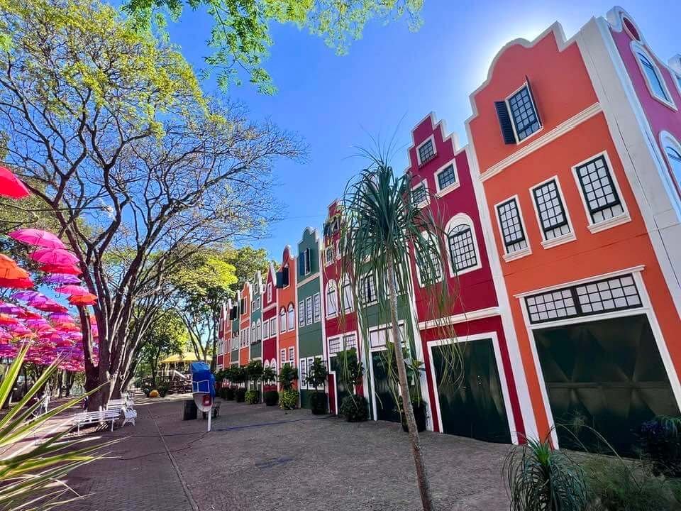 Roteiro de 1 dia em Holambra, a cidade das flores!